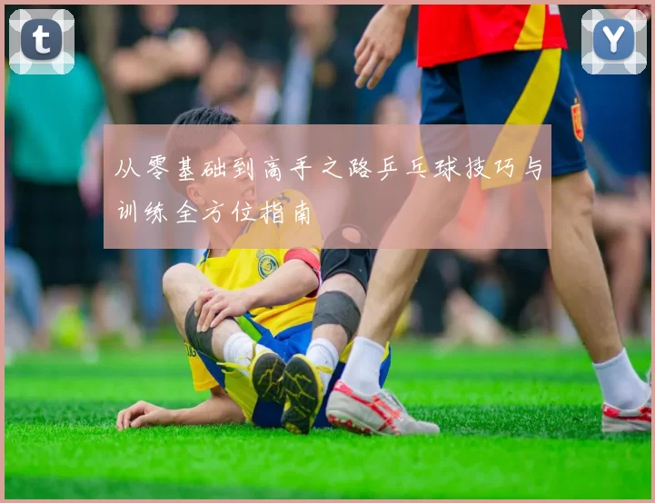 从零基础到高手之路乒乓球技巧与训练全方位指南