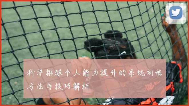 科学排球个人能力提升的系统训练方法与技巧解析
