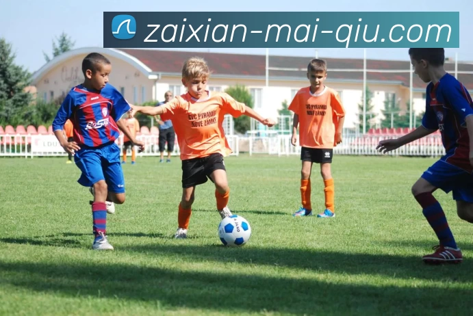 买球官网发展历程