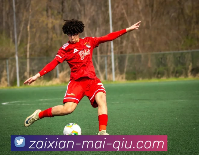 武汉足球队在冠军赛中的速度表现分析与评价